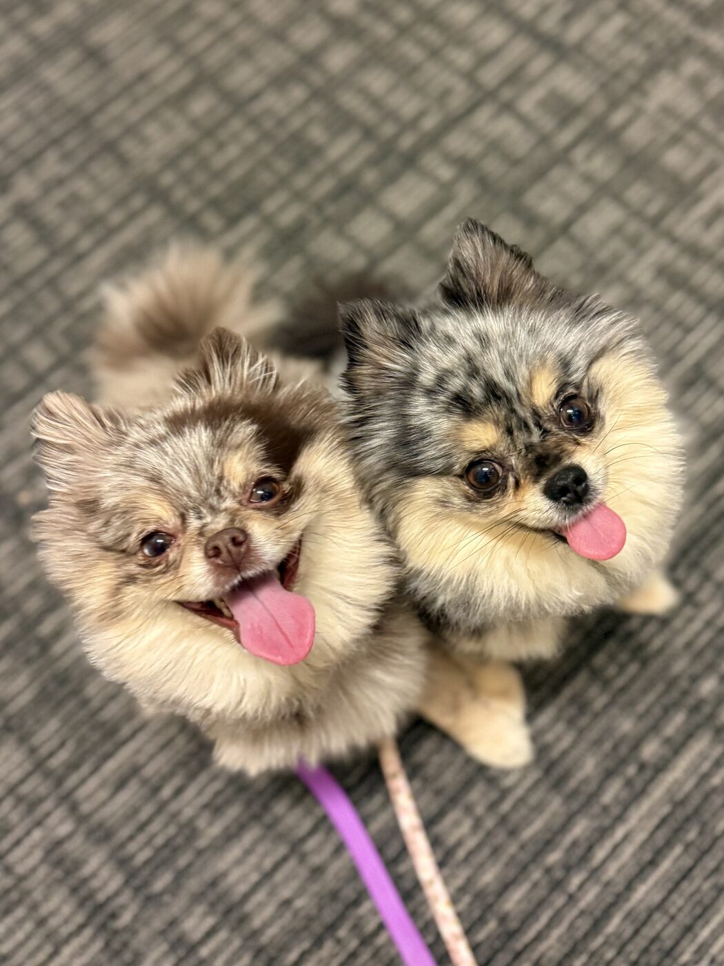 Two happy faces, one visit