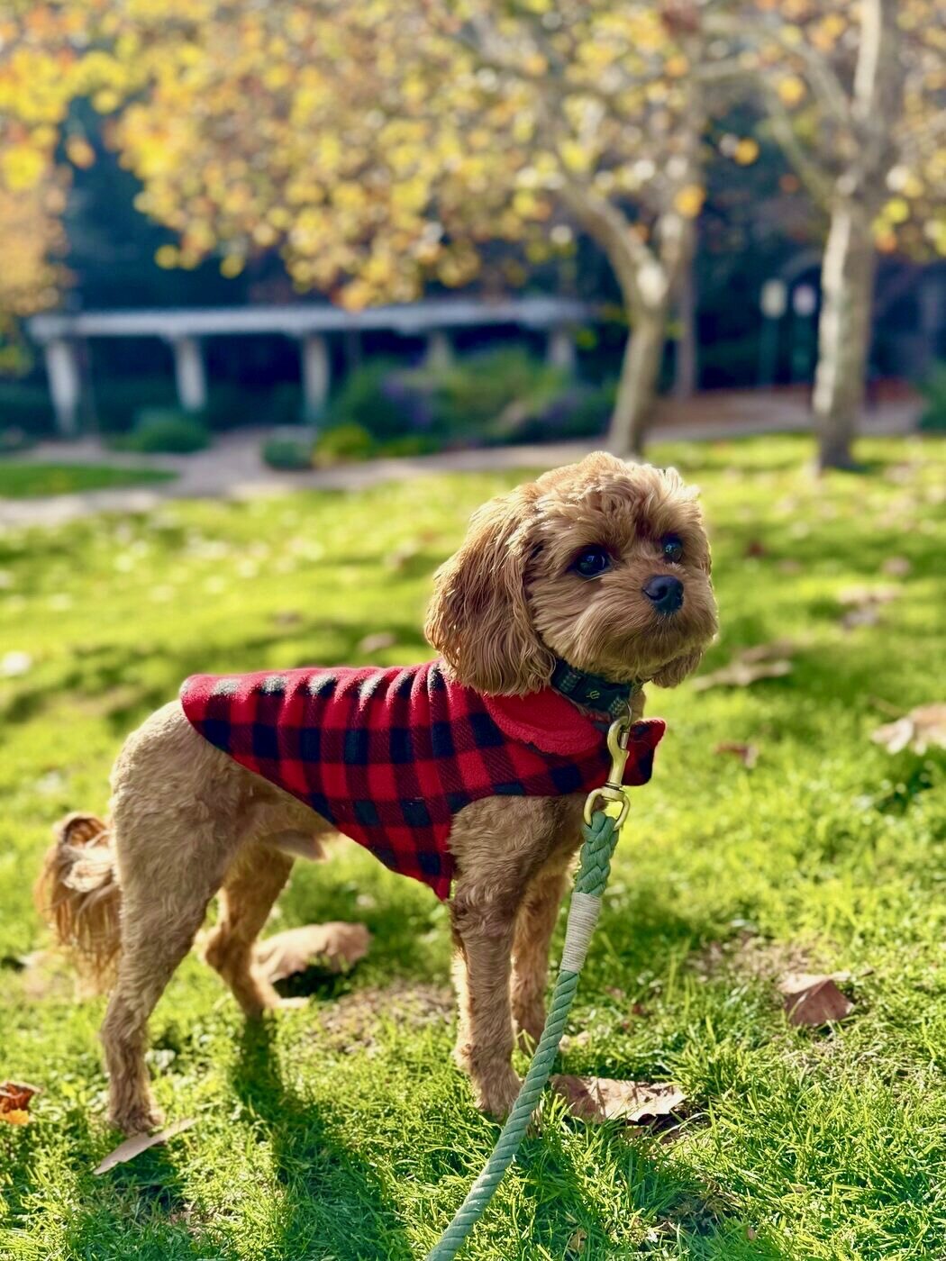 Bundled up for a walk
