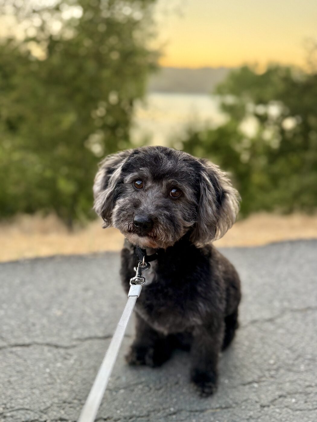 Golden hour by the water