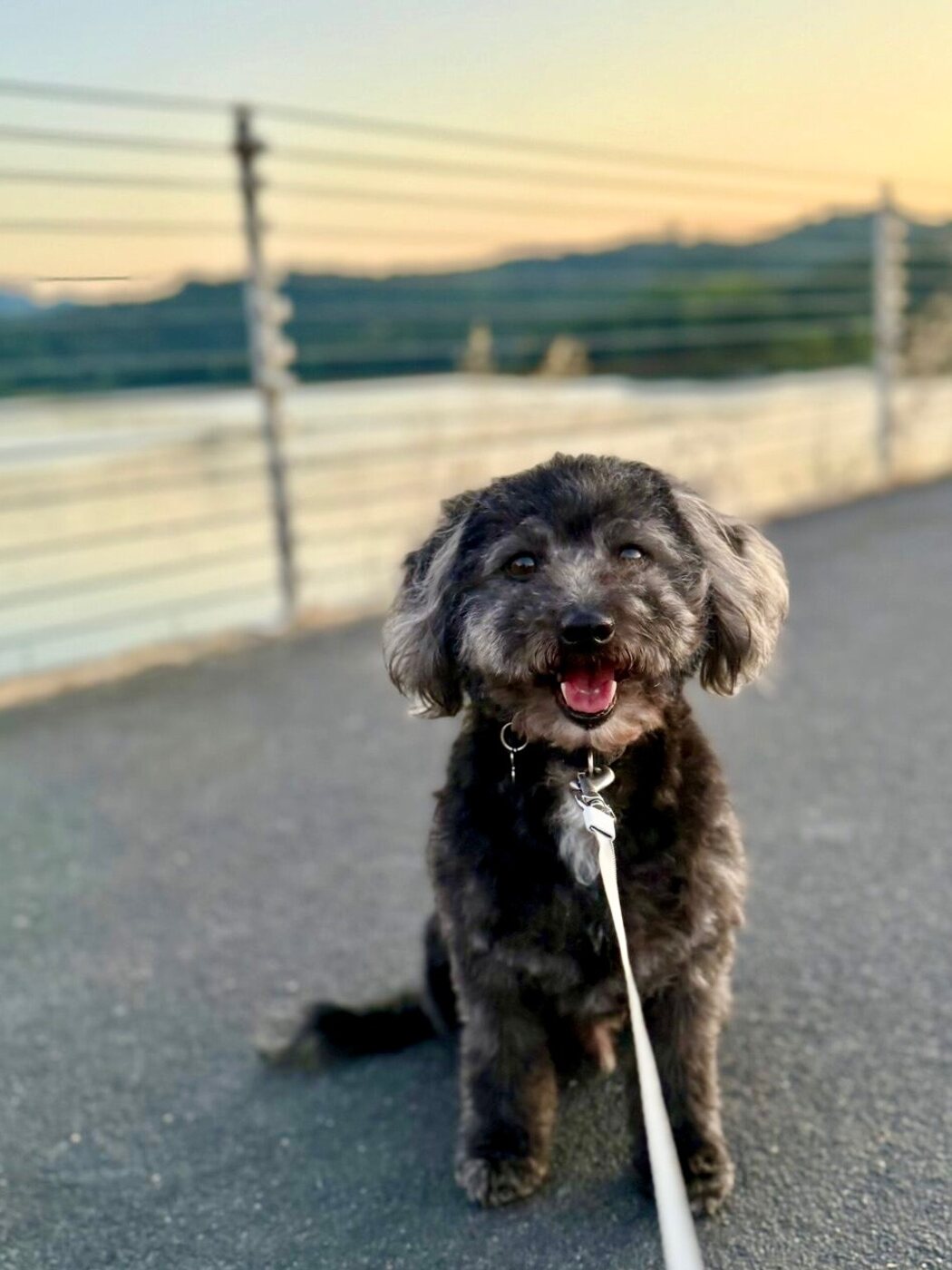 All smiles at sunset
