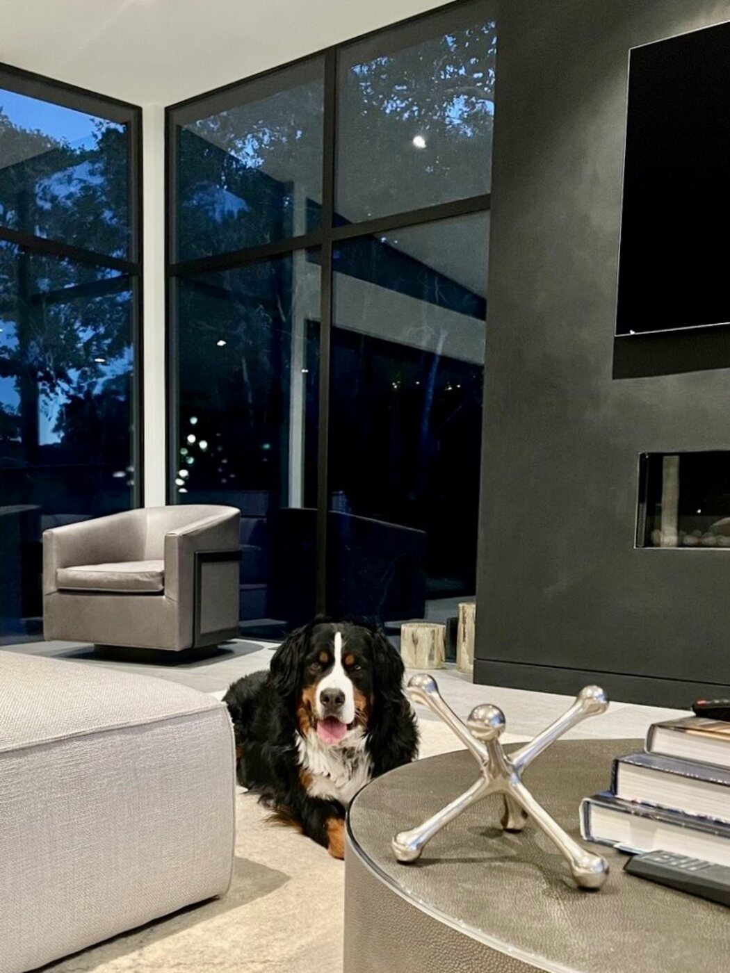 Relaxing in a beautiful living room