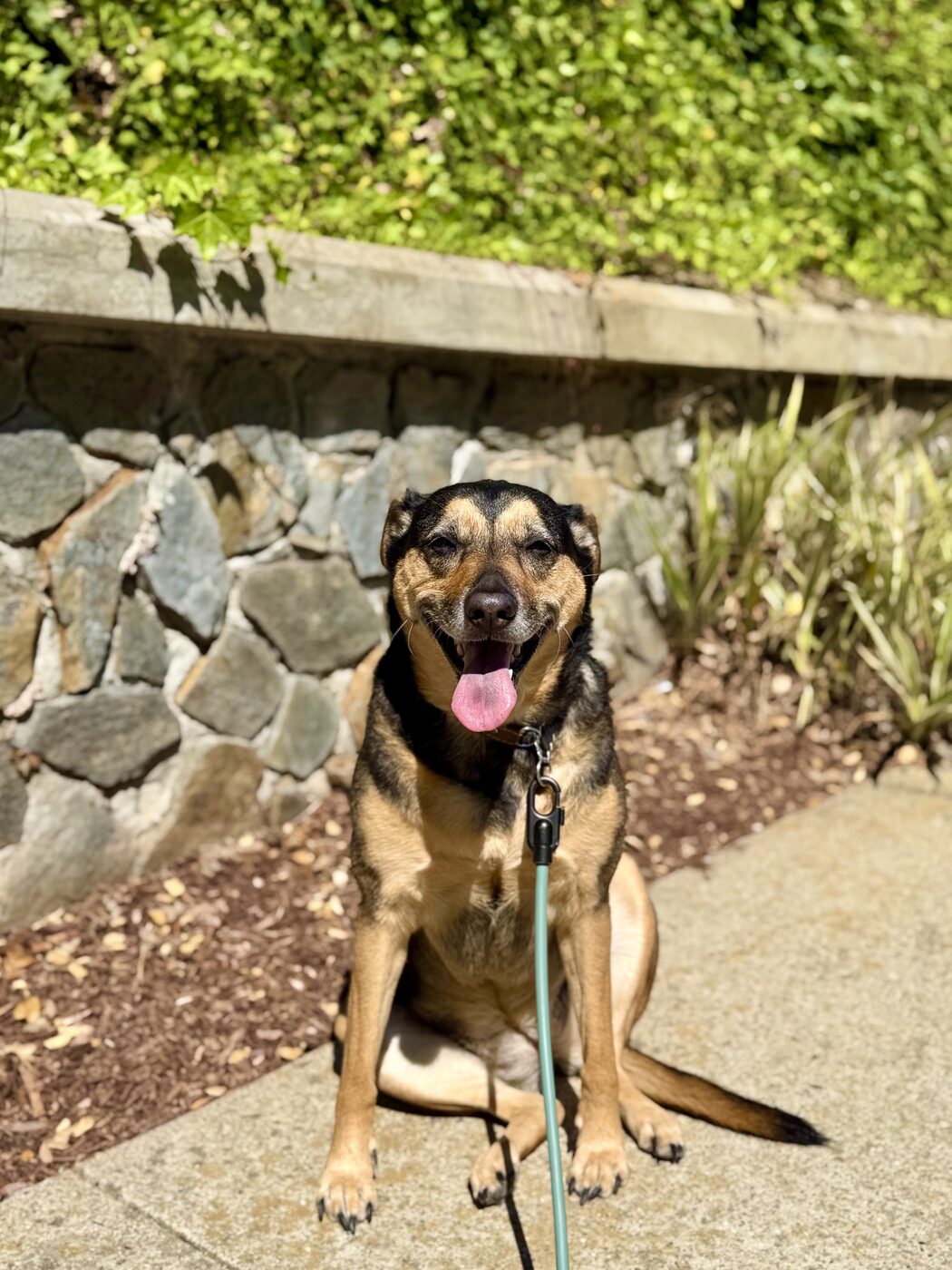 A wall-side grin