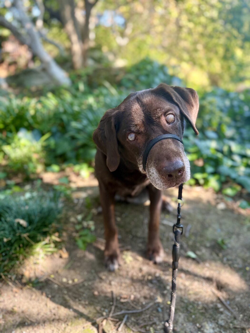 On the garden trail