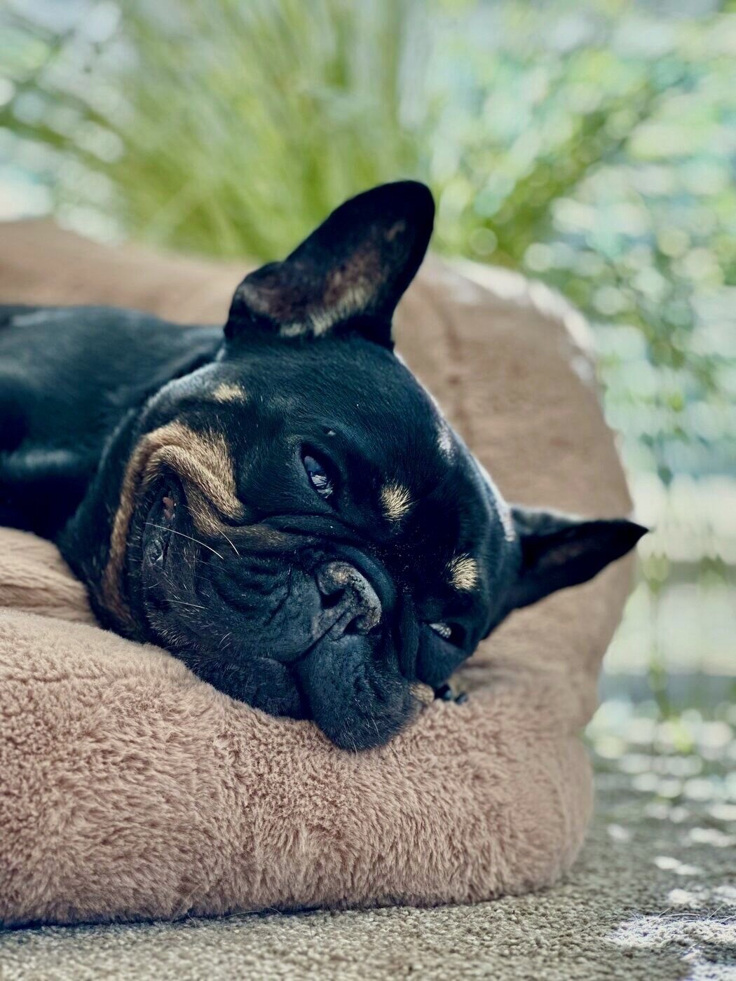 Fast asleep