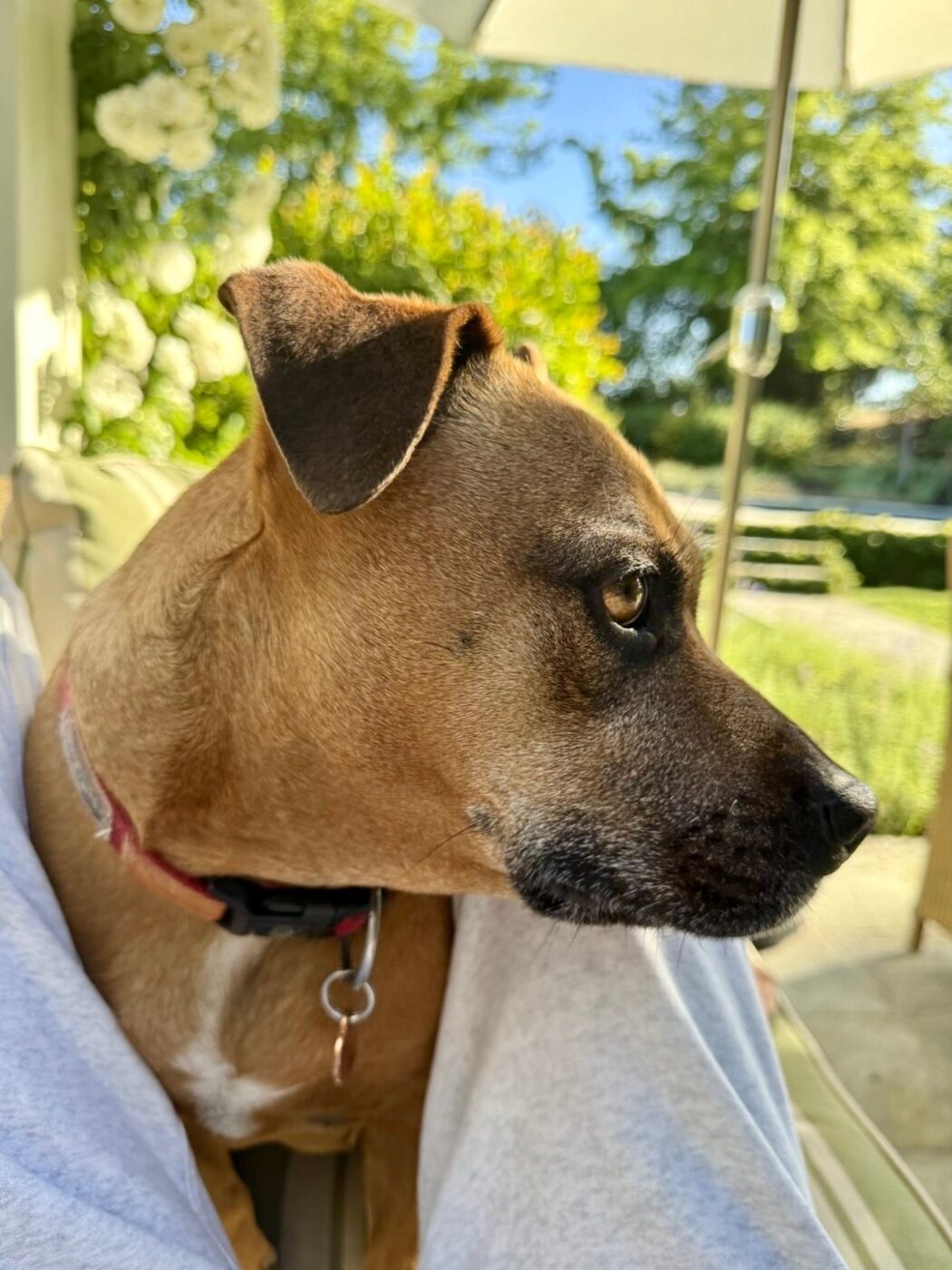 A handsome profile