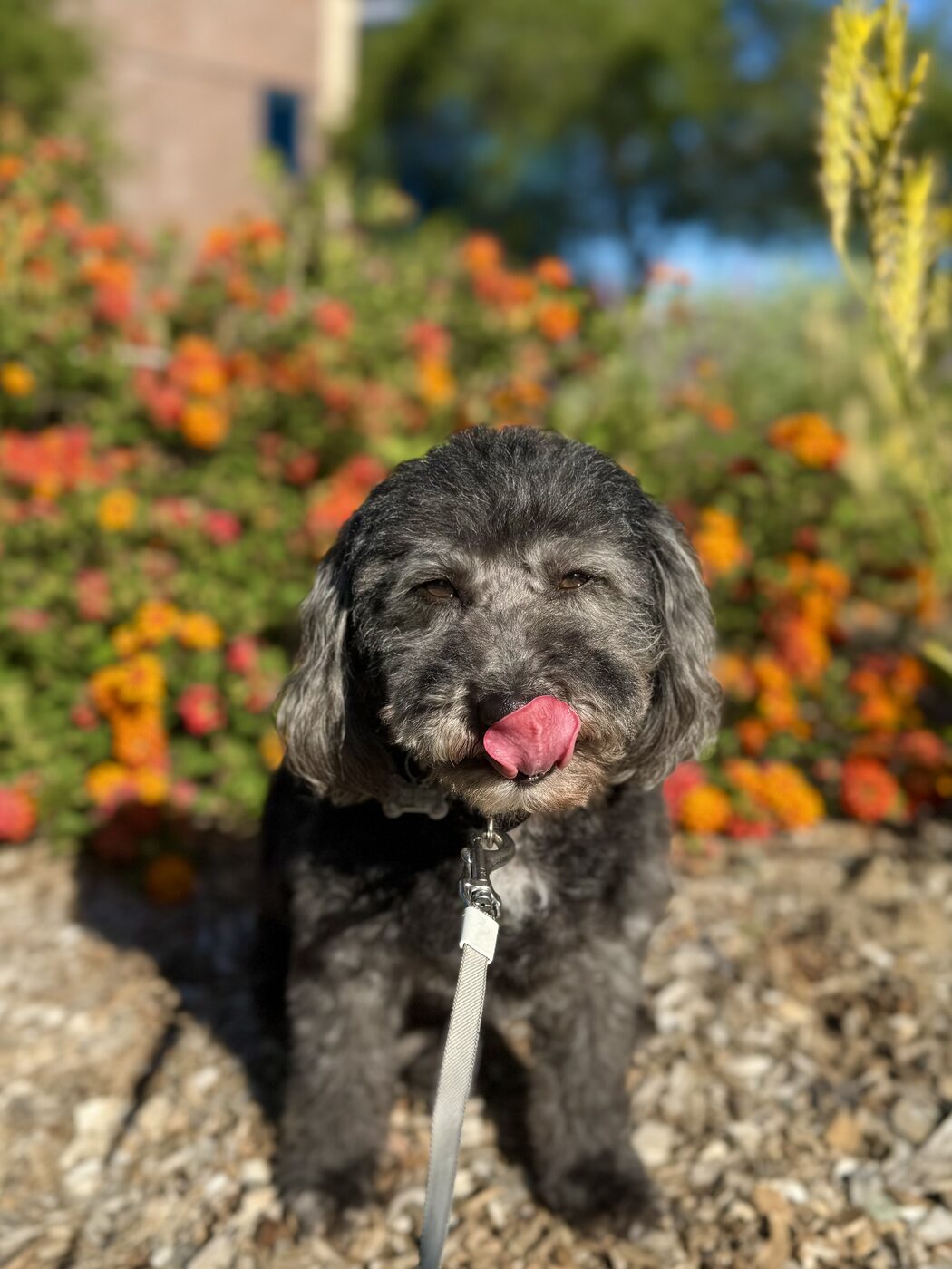 Framed by fall color