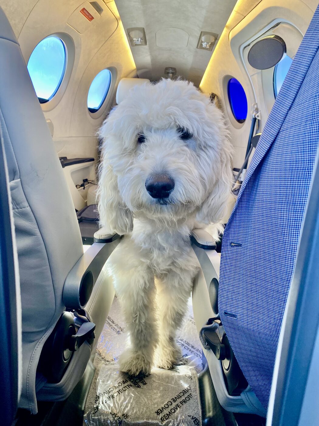 Ready for takeoff