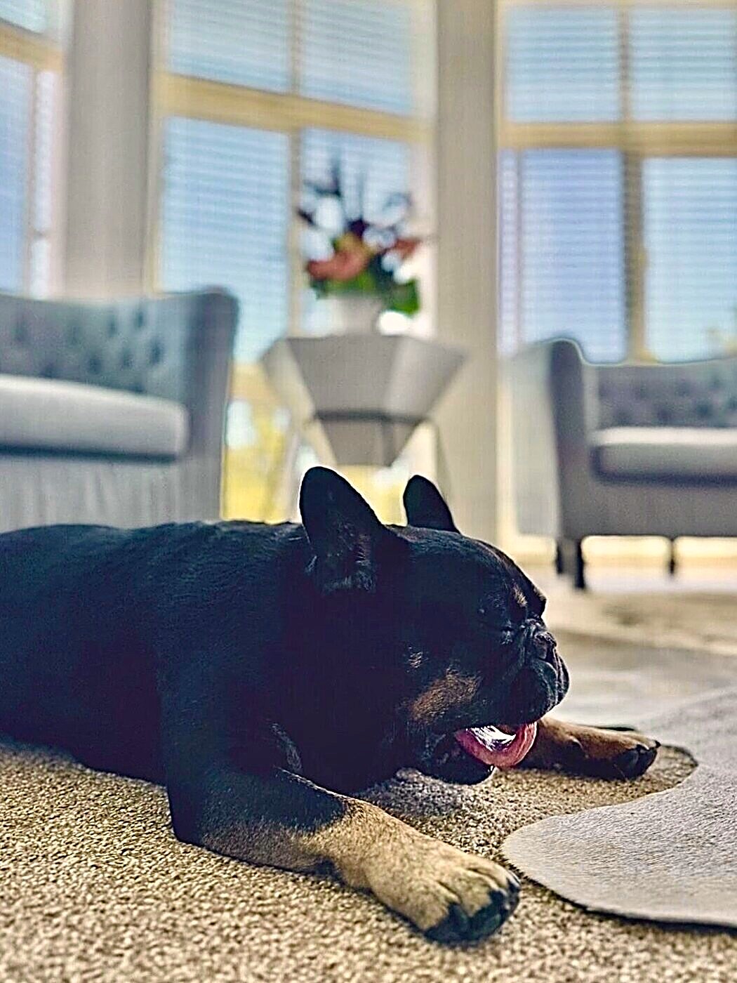 A candid living room moment