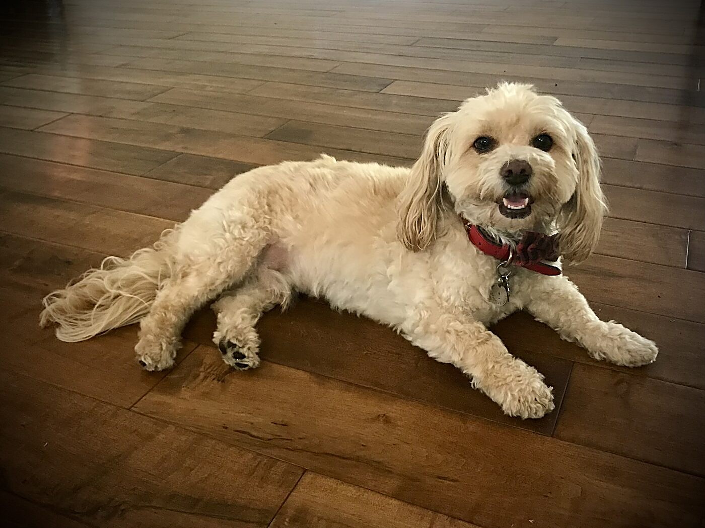 Stretched out and relaxed