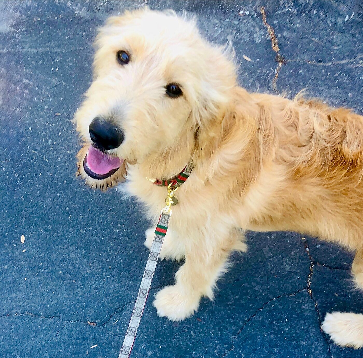 All smiles on a walk