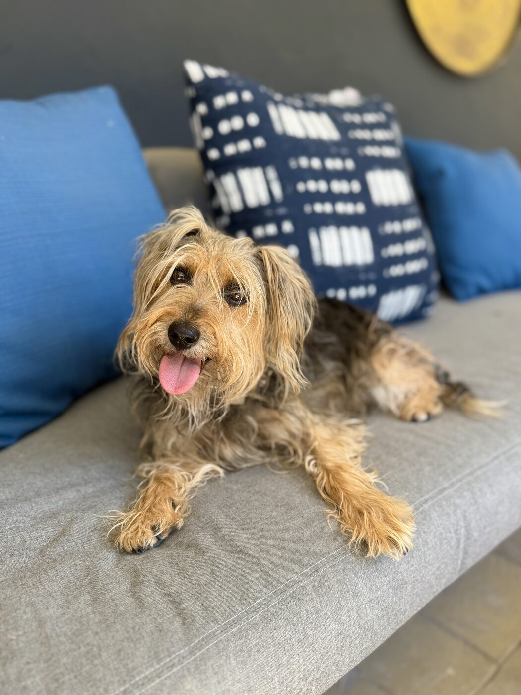 Cozy on the couch
