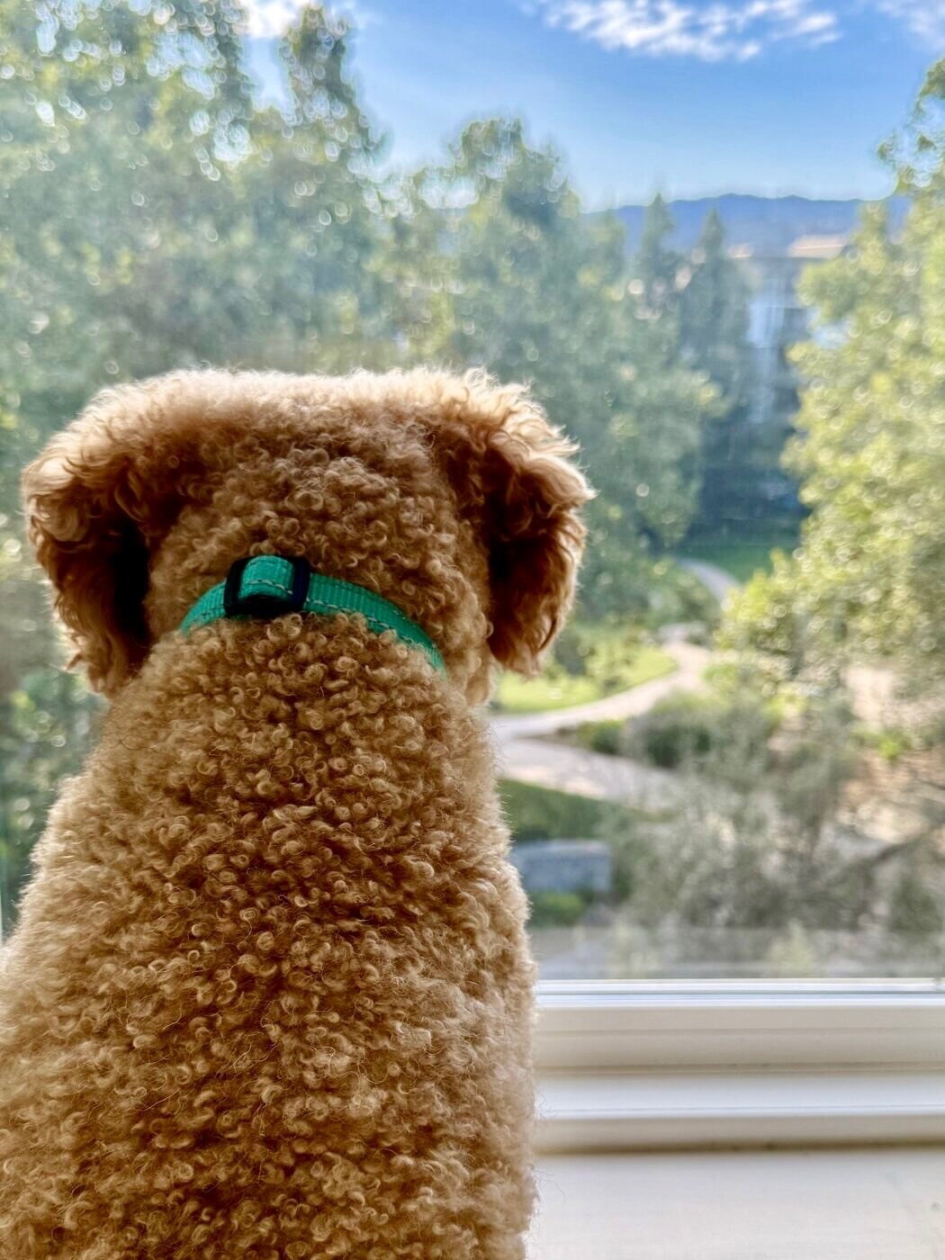 Taking in the view