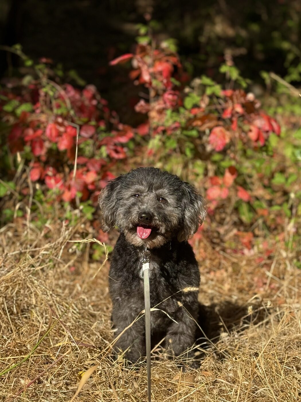 A happy visit among fall color