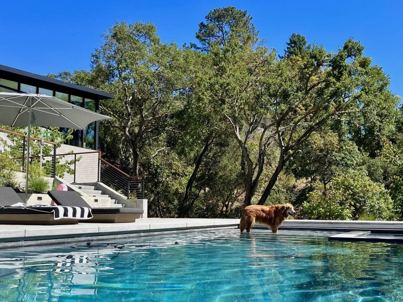 A dip in the pool, hillside views